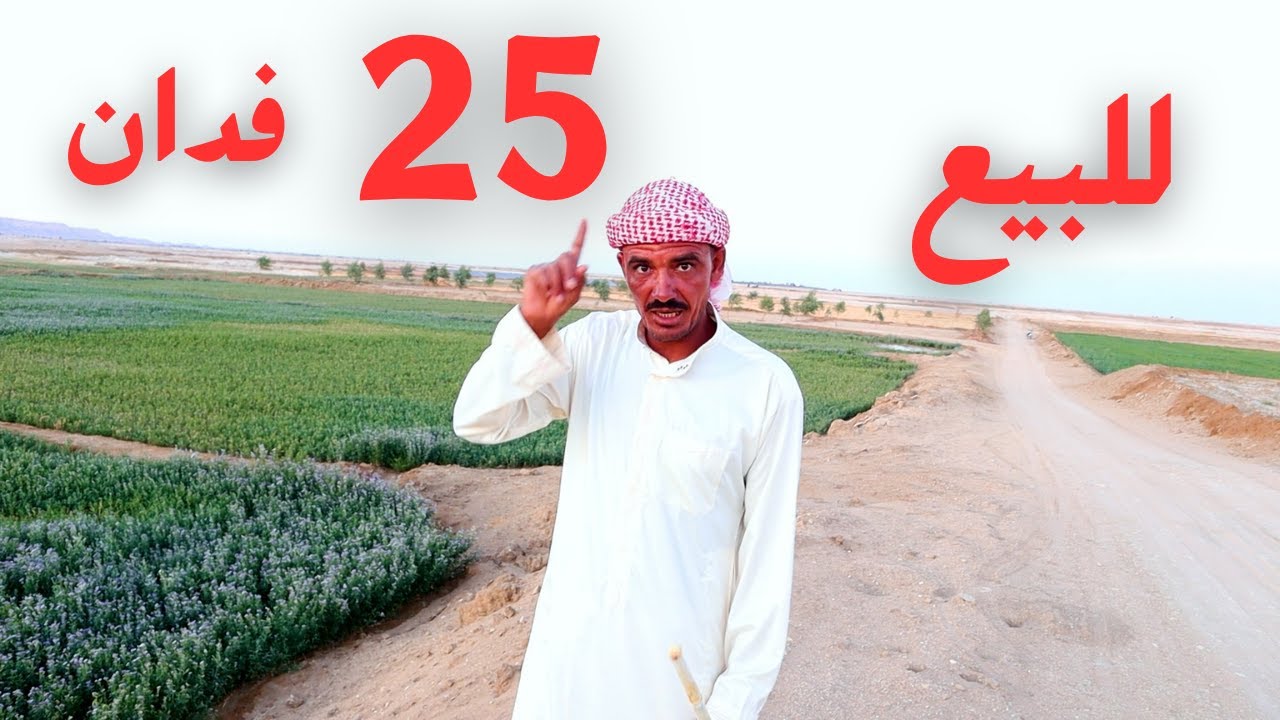 25ارض زراعية للبيع | فدان للبيع بالطاقه الشمسيه برسيم حجازي