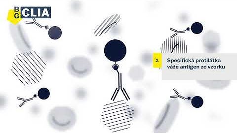 Imunotest CLIA - Jak kity fungují?