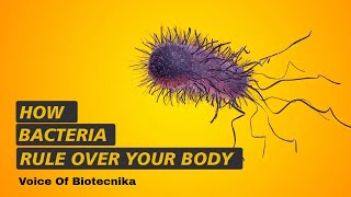 How Bacteria Rule Over Your Body | Voice of Biotecnika