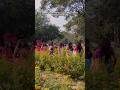 Saraswati Puja | Gauhati University Edition | CZ Group & The Times City