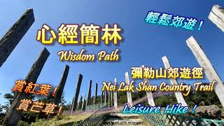 [心經簡林] [彌勒山郊遊徑] +航拍+紅葉+芒草(踩過界2？)Wisdom ... 