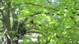 Dance Improvisation outside