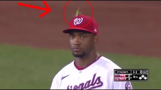 MLB Funniest Animal Interactions