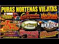 💥PURAS NORTEÑAS VIEJITAS MIX 🔥Puros Clásicos | Tigres, Tucanes, Ramón Ayala ,Invasores, Cardenales