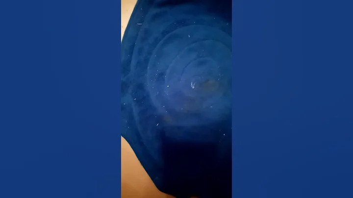 Neu hier