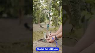 Taking a reading with Soil pH Probe @BluelabOfficial