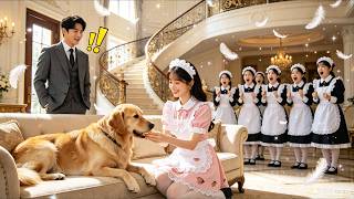 Details 999 maids couldn't calm CEO's dog, until this country girl did! CEO fell in love with her! News