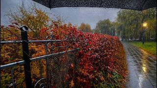 Rainy Autumn City Walk ☔🍂4K | Binaural Audio (Rain Sounds for Sleep & Study) | ASMR