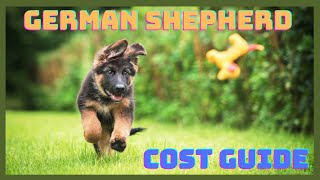 How Much Does a German Shepherd Cost:  Guide to Initial and Ongoing Expenses by DogCareLife 297 views 3 months ago 4 minutes, 36 seconds