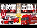 🔥消防署ぜんぶ出動!💪チームで挑む大ミッション!🚒