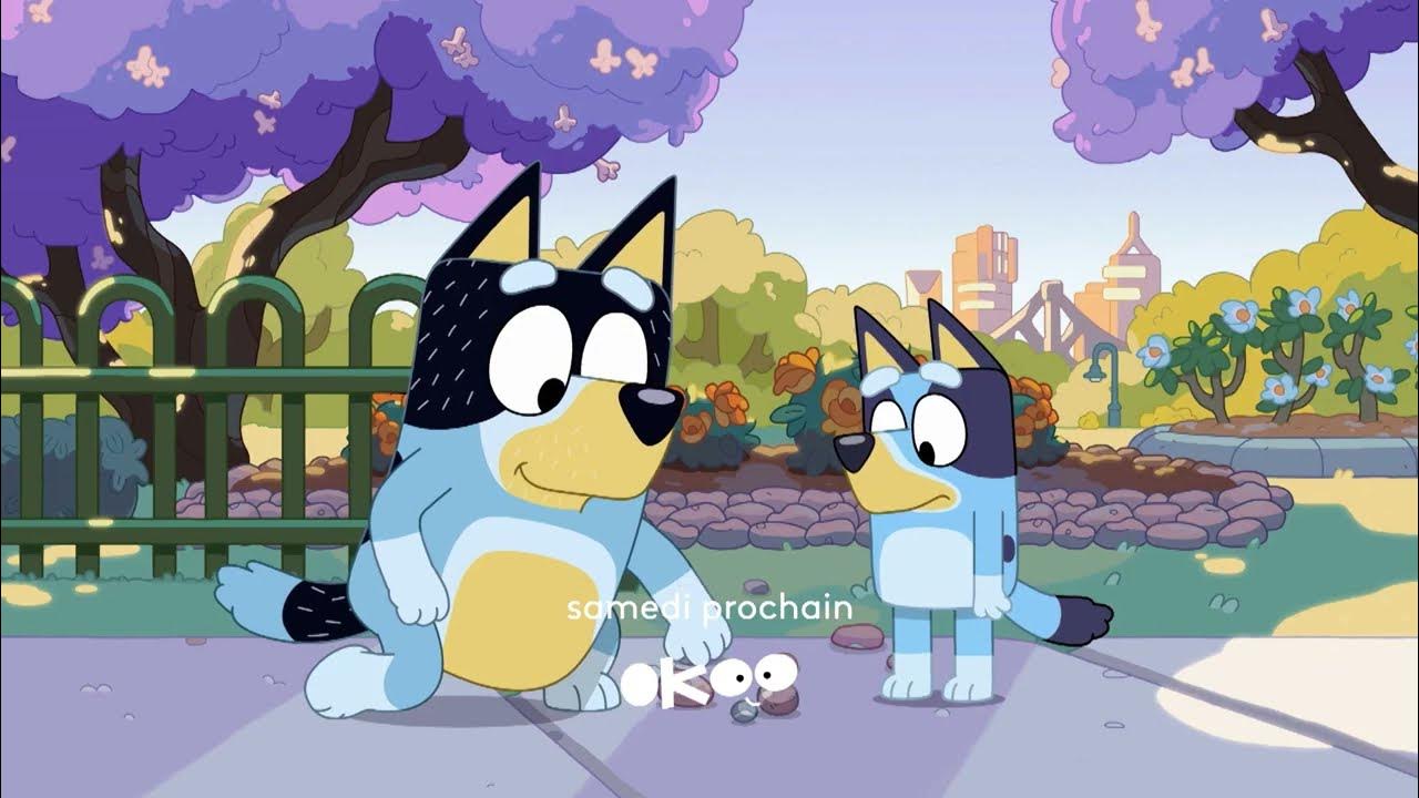 Dessin Animé Bluey YouTube