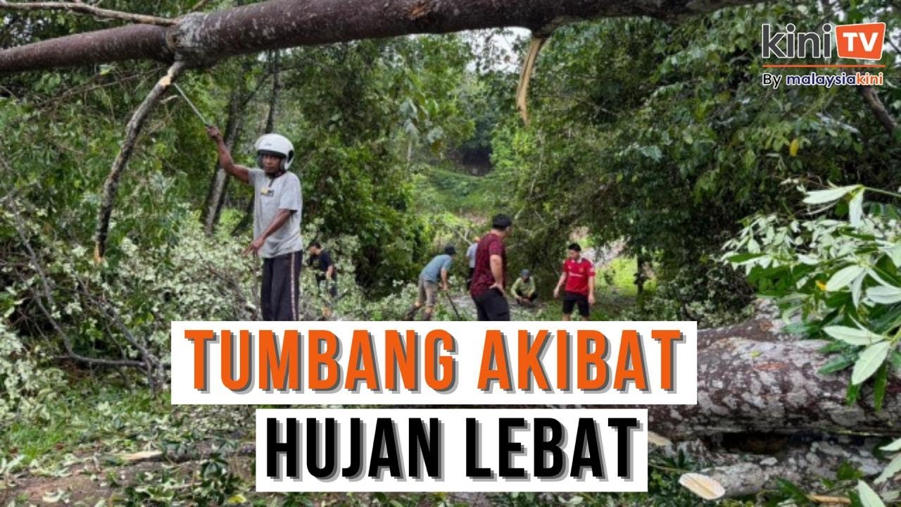 Penduduk Kg Kitanggang terhalang keluar undi akibat pokok tumbang