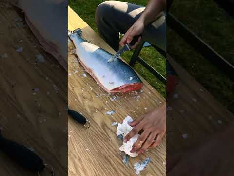 How To Descale A Salmon Fish Salmon Food 