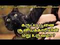 Is the black cat a reincarnation of the witch is it true  dj tamil  information in tamil