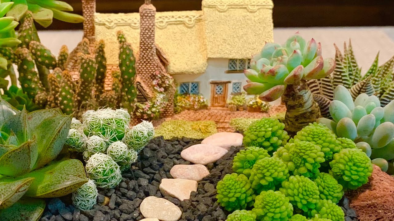 Cottage House Succulent Dish Arrangement
