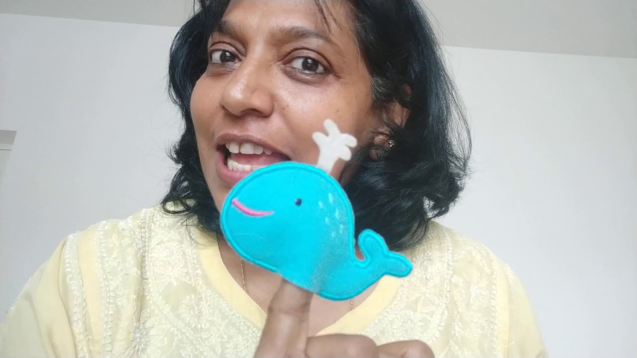 Animal songs - YouTube