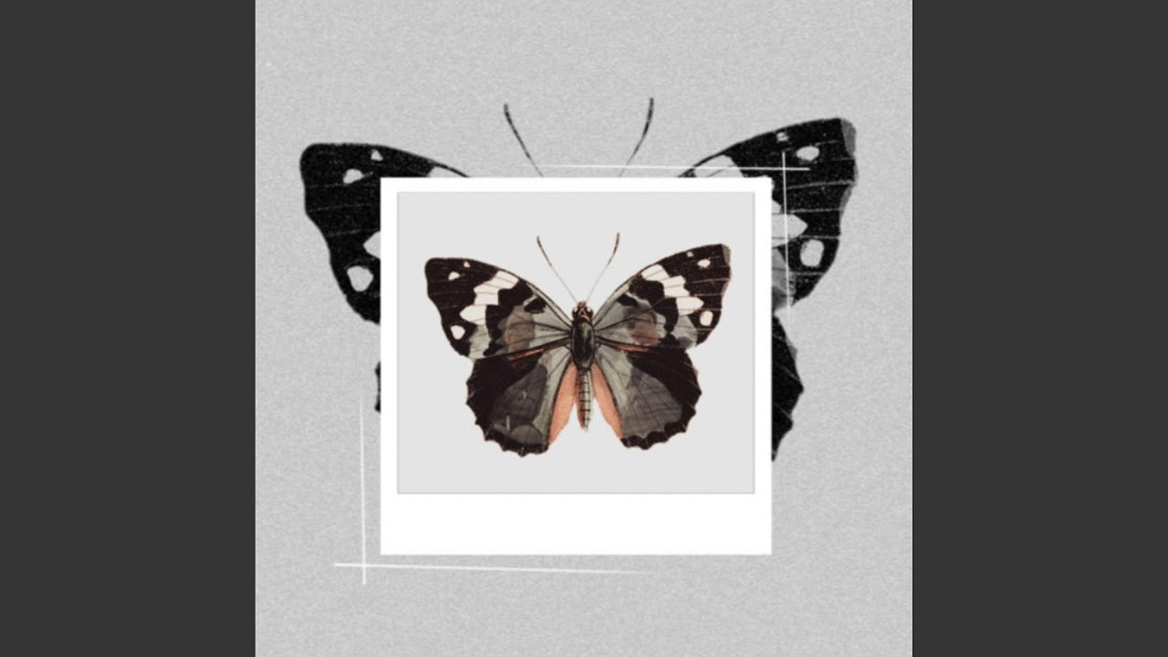 Watch Butterfly on YouTube Watch Butterfly on YouTube