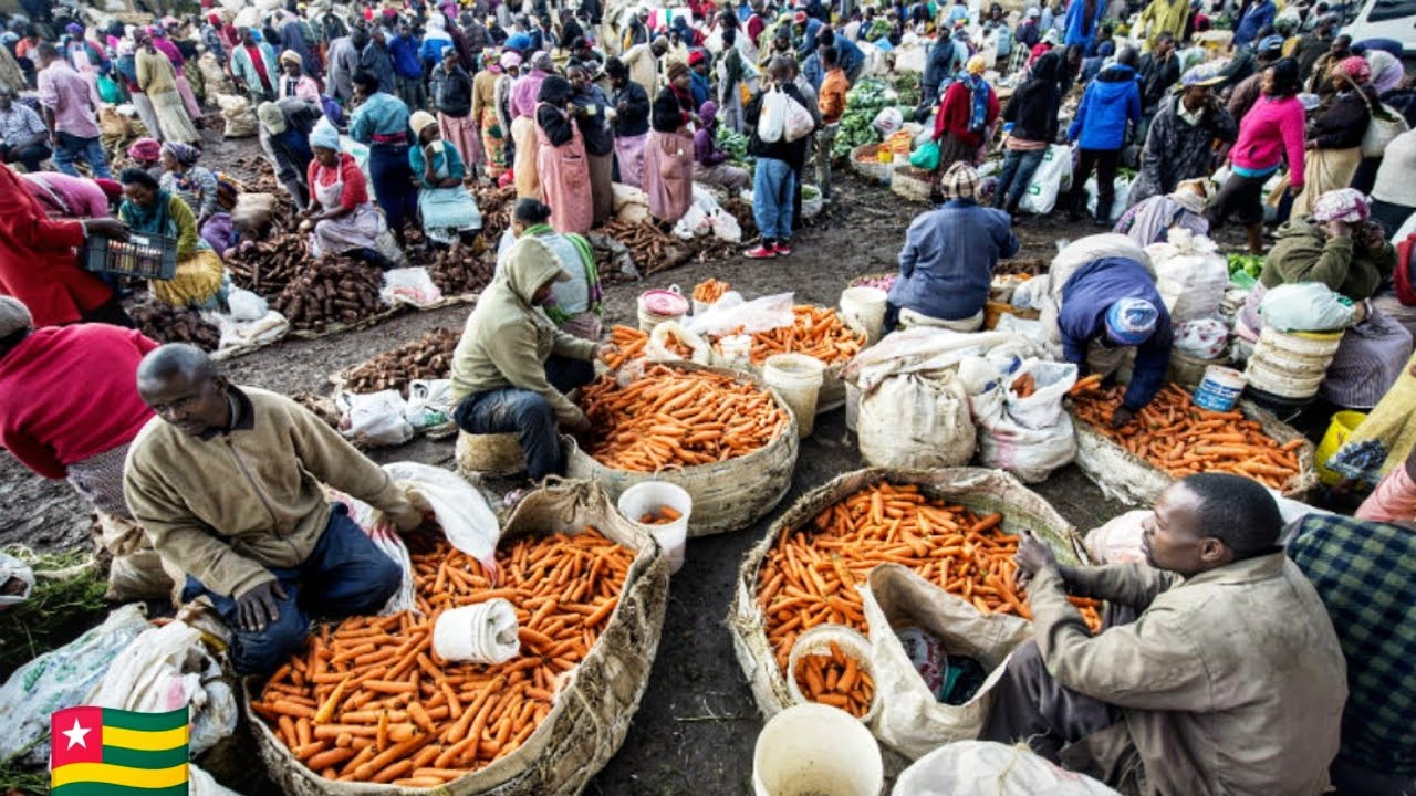 Cost of living in West Africa. Buying and cooking delicious organic chicken in Lomé Togo West