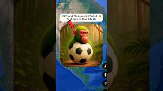I Found Chimpanzini Bolinilo 🥶 on google earth and google maps 🌎! #shorts #findmysterioussecrets