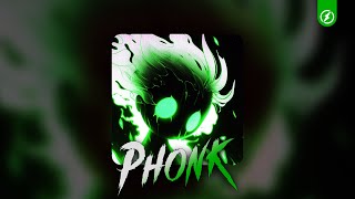 BRAZILIAN PHONK ※ MUSIC PLAYLIST [PR PHONK, GYM, FUNK] / SEQUÊNCIA DA DZ7 (FUNK BR)