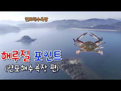 해루질 포인트 (연포해수욕장 편) #해루질 #꽃게포인트