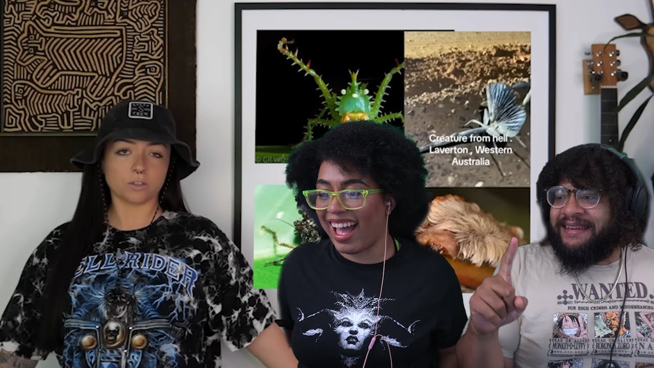 Линдси Николь и насекомые! | Что за хрень? (издание про насекомых)