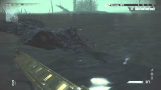 Ghosts: Messing With the Alligator on Fog