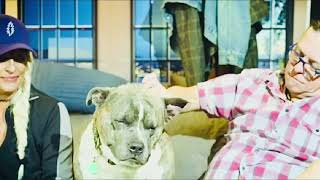 We’re Taking the Dog  - Rough Draft Preview