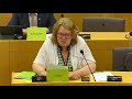 Yana Toom: European Parliament should take the needs of Ida Viru into account