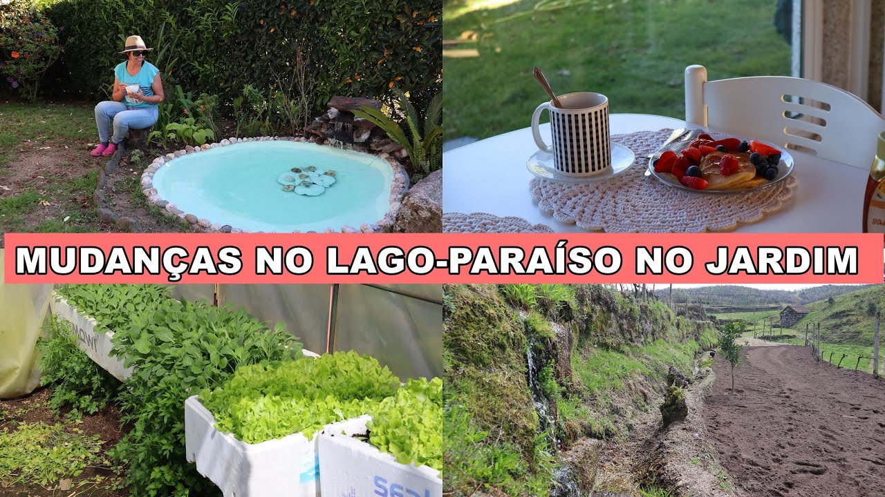 O QUE JÁ SEMEEI NA HORTA E NO CAMPO