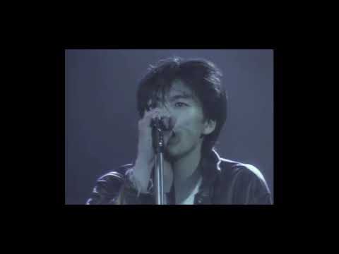 尾崎豊　代々木85  15の夜