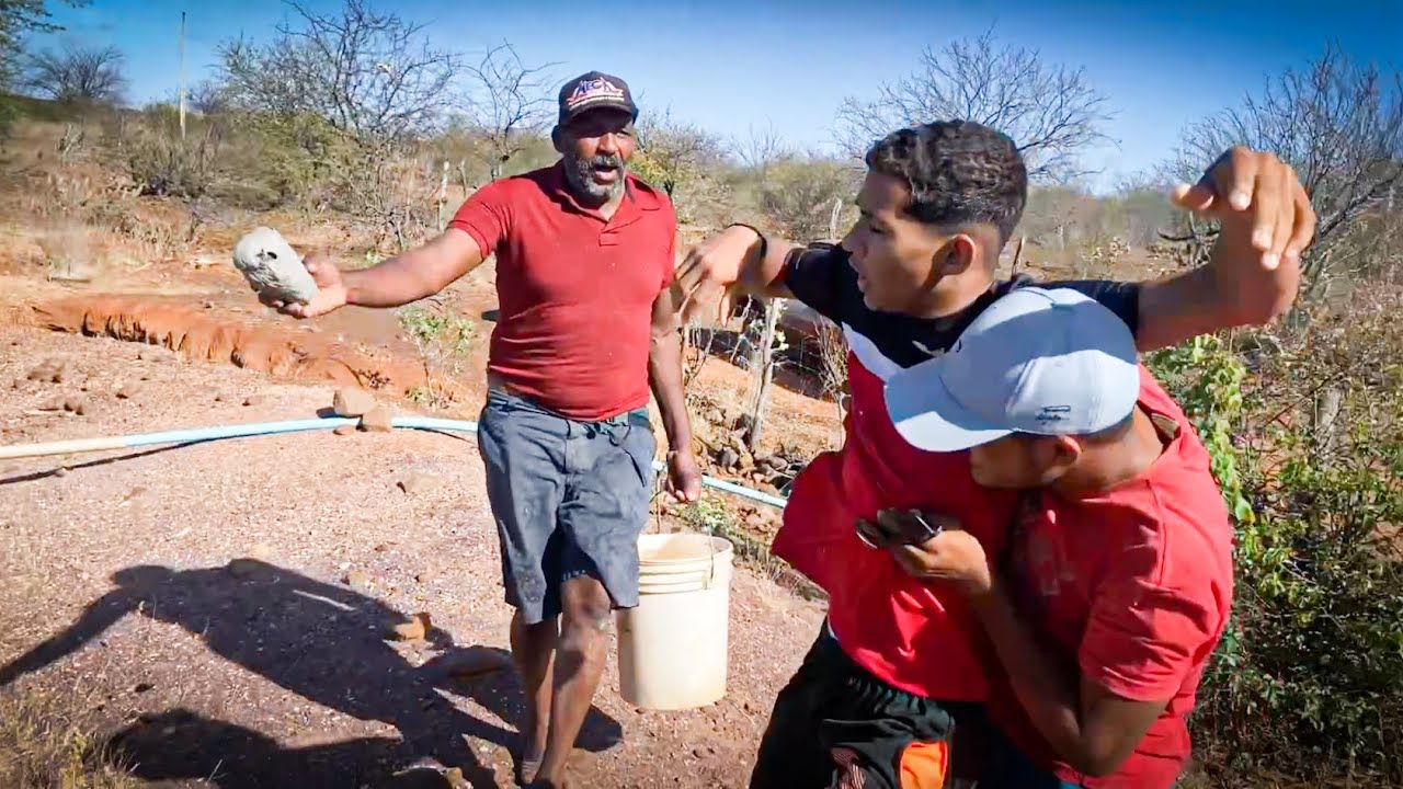 ABÍLIO BOTOU PRA LASCAR NO BRUTINHO COM ABELHAS