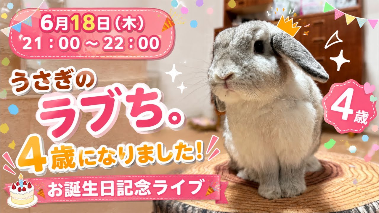 誕生日ライブ🎂】うさぎのラブち。4歳になりました🎉記念！【ホーラン
