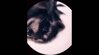 5 Августа 2024 Г.