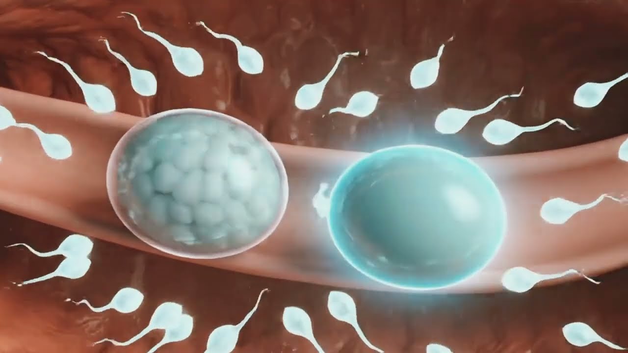 Normal pregnancy kaise hota hai 