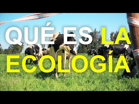 Video: ¿Por qué te gusta la ecología?