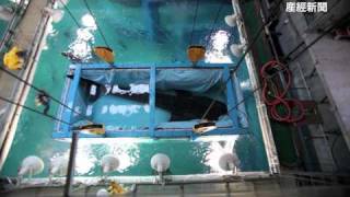 海遊館でジンベエザメの大くん搬出