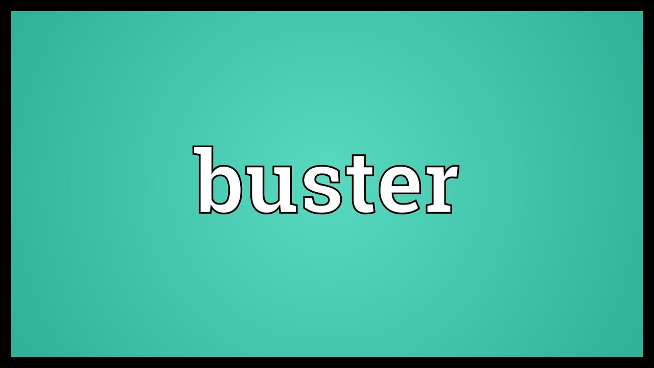 buster meaning