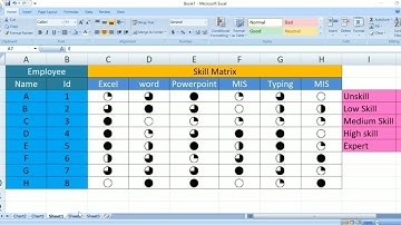 Create Skill Matrix in Excel |How to Make Skill Matrix in MS Excel