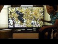 Samsung 51' Plasma XPCorner