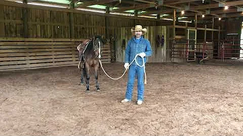 Mark Noel Horsemanship-2nd Ride on 2 year old colt