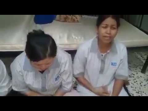 Video Viral 4 TKW Menangis Minta Tolong Karena Korban Pelecehan Ke Presiden Joko Widodo