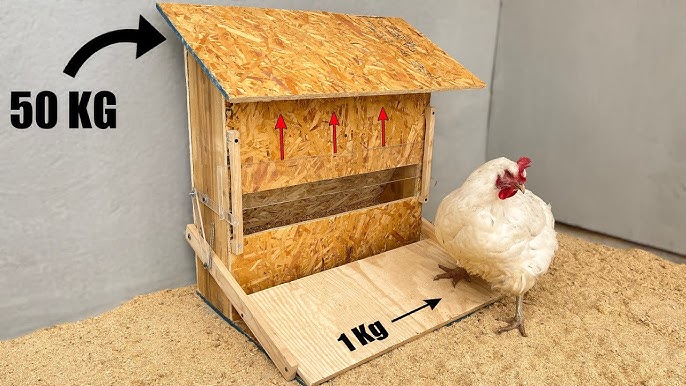 🐓 Mangeoire pour Poules Automatique, Anti nuisible et Anti gaspi