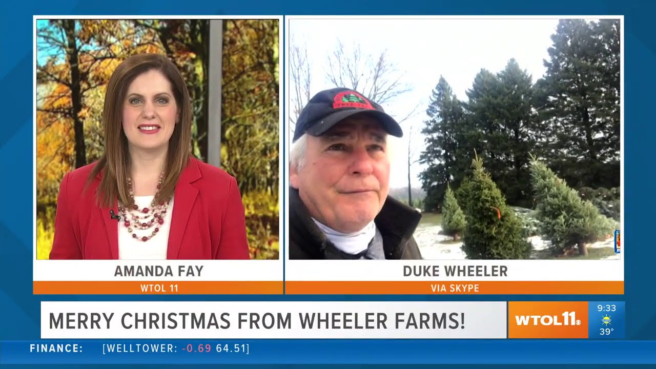 Pick out your perfect Christmas tree at Wheeler Farms | Your Day - YouTube