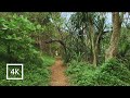 Hike to Secret Beach, Kauai (Binaural Audio)
