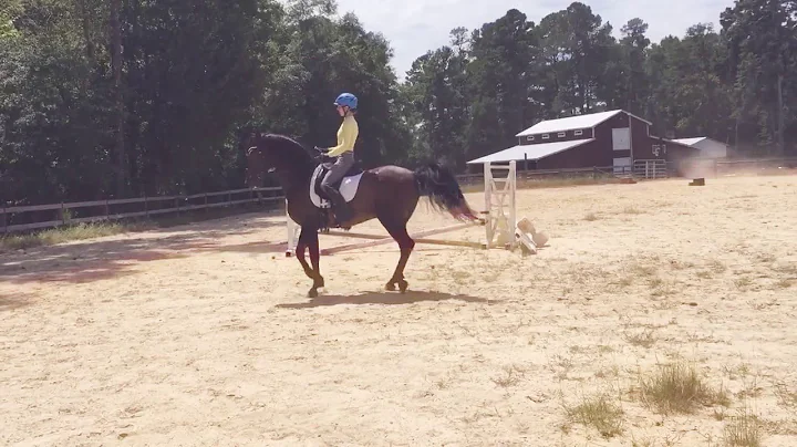 Piaffe schooling - Laura Abner