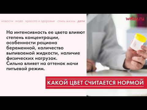 Как меняется цвет мочи при беременности