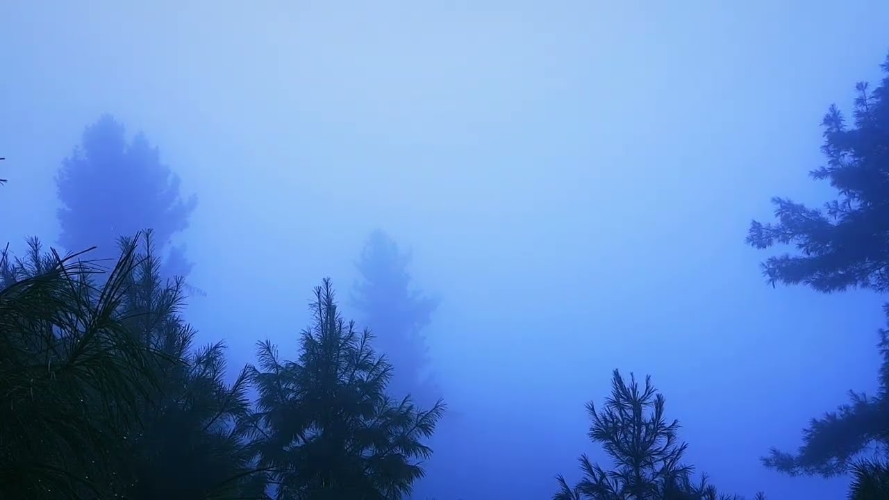 Heavy Fog On Top Of Mountain.    #nature @Atik Ailesi @YouTube @Nature Beauty