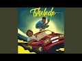 Tshelede (feat. Fortunator, Dineo Mkay & Pross Boy)