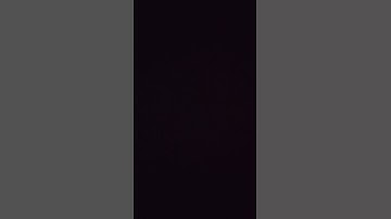 One word per day of the bee movie script #2